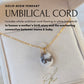 Small Breastmilk + Whole Umbilical Cord • Teardrop Pendant • Solid Resin • Necklace